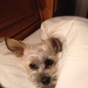 Meet your Posher, Ruth